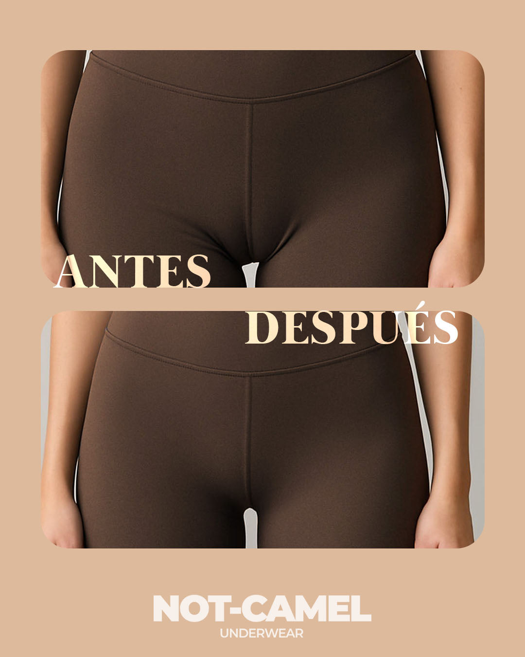 Pack Not-Camel Underwear