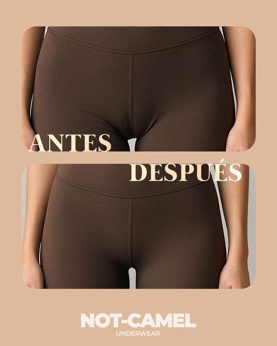 Pack Not-Camel Underwear